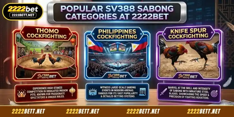 Frequently Played Sabong Categories at 2222BET